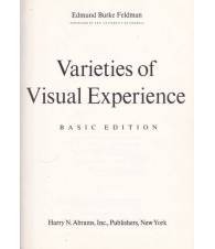 Varieties of Visual Experiences - basic edition