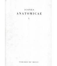 Icones Anatomicae 1
