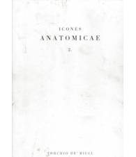 Icones Anatomicae 2
