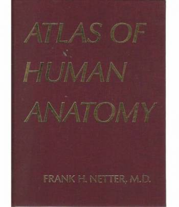 Atlas of human anatomy