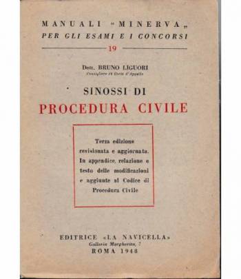 Manuali Minerva. Sinossi di Procedura Civile