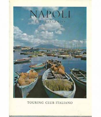 Napoli e il suo golfo