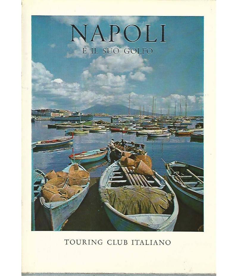 Napoli e il suo golfo