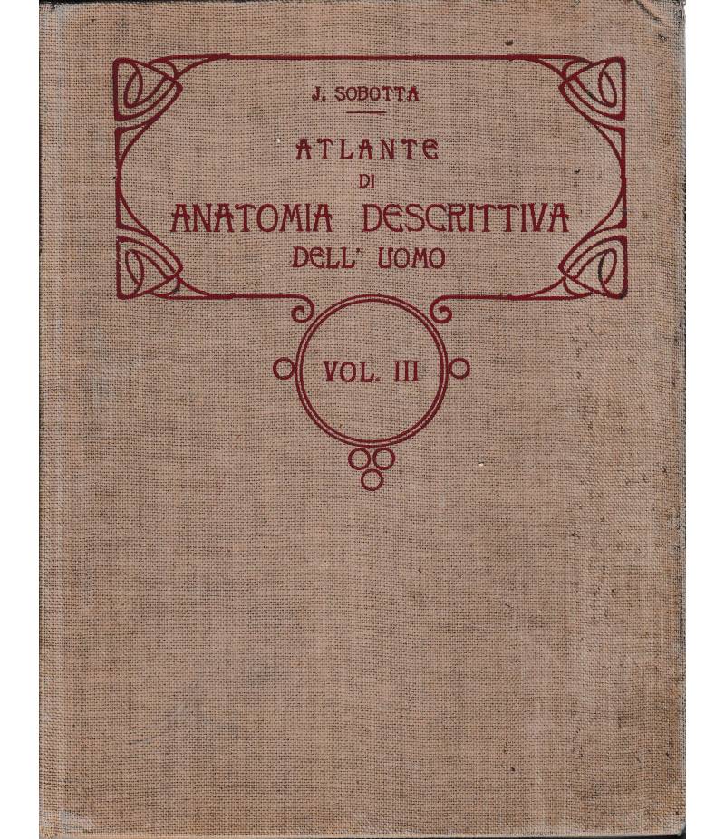 Atlante di Anatomia Descrittiva del'Uomo 3° vol.