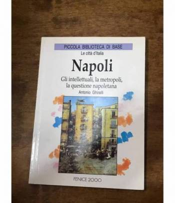 Napoli gli intellettuali, la metropoli, la questione napoletana