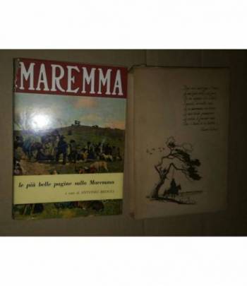 maremma