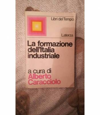 La formazione dell'italia industriale