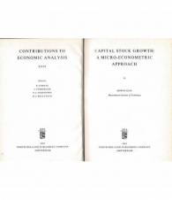 Capital stock growth: a micro-econometric approach