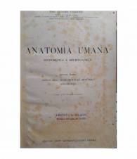 Anatomia umana sistematica e microscopica. Volume 1