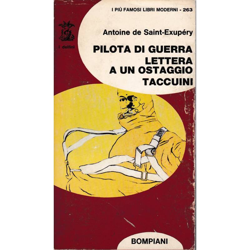 Pilota di guerra - Lettera a un ostaggio - Taccuini