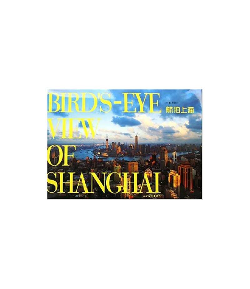Bird's eye view of Shanghai