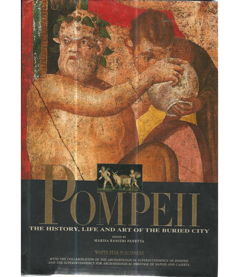Pompeii the history life and art of the buried city